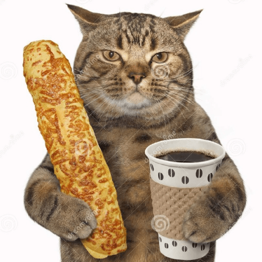 Gatitos 8