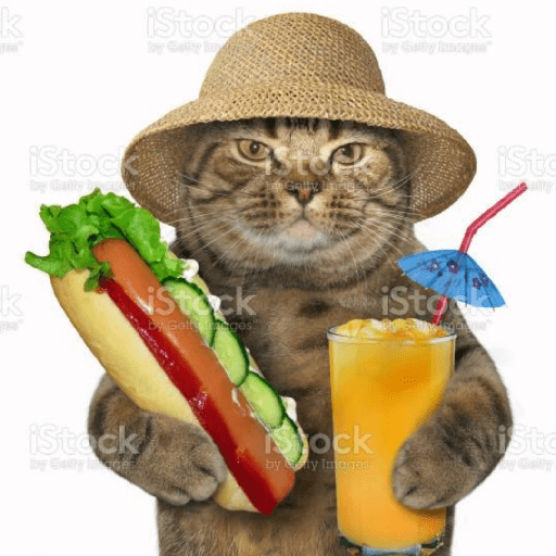 Gatitos 2