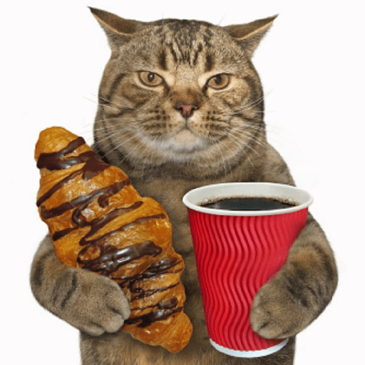 Gatitos 6