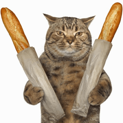 Gatitos 7