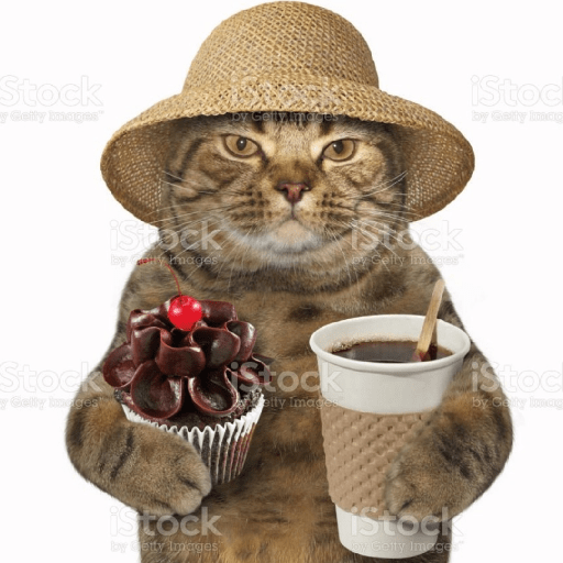 Gatitos 4