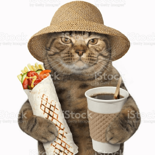 Gatitos 3