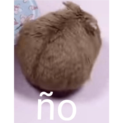 Yay 30