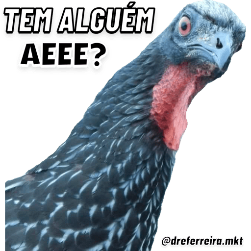 As melhores reações 4