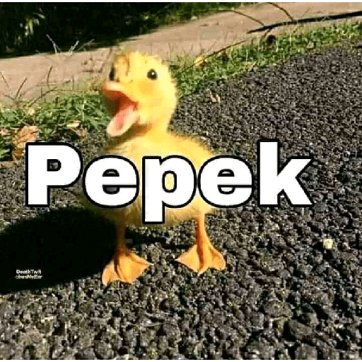 Hmmm 11