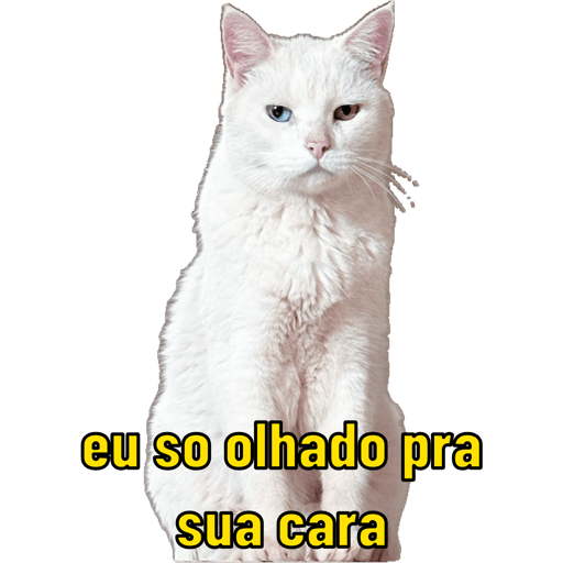 Minhas figurinhas 21