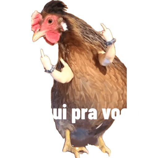 Minhas figurinhas 14