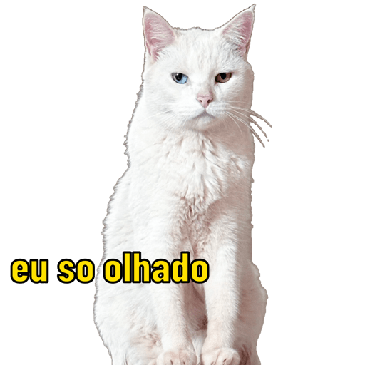 Minhas figurinhas 20