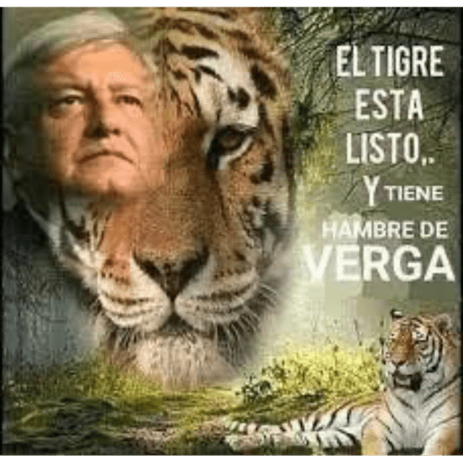 Eviwebito 3