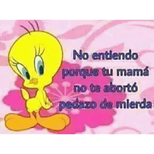 Eviwebito 10