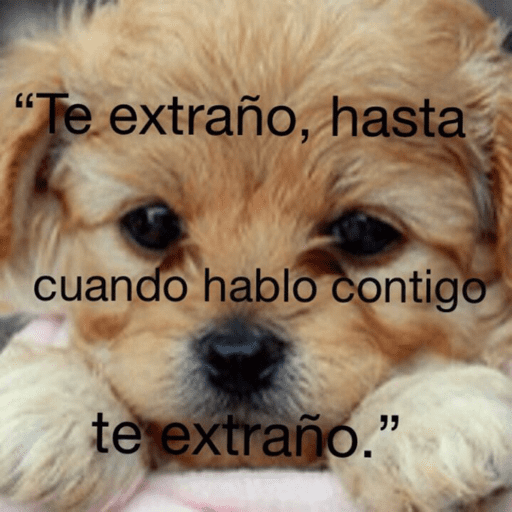 Eviwebito 2