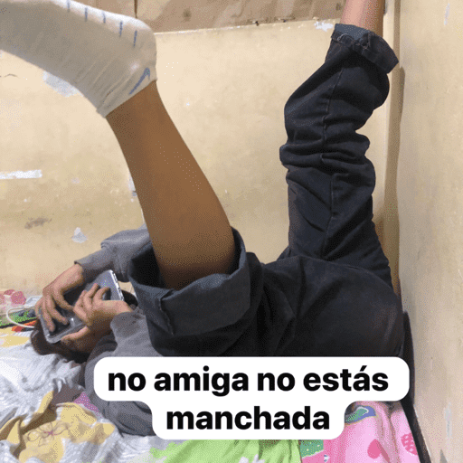 Eviwebito 24