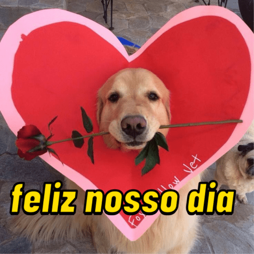 Para os namorados 💖🎁 4