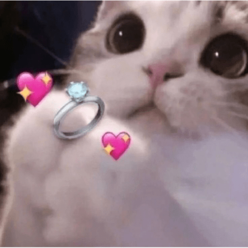 Para os namorados 💖🎁 9