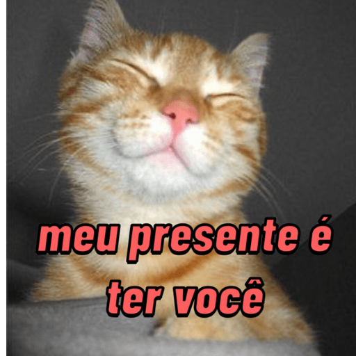 Para os namorados 💖🎁 2