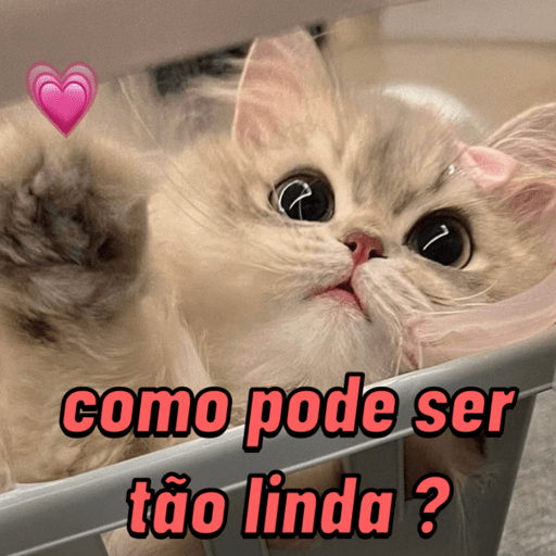 Para os namorados 💖🎁 7