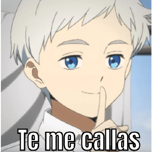 Memes para grupos  8