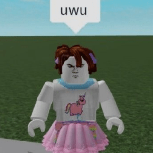 Meme Roblox Kocak (3) 14