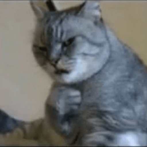 Meme Kucing Imut #5 17
