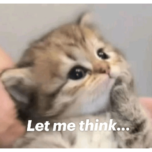 Meme Kucing Imut #5 10