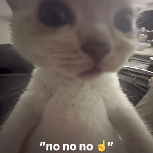 Meme Kucing Imut #5 14