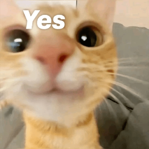 Meme Kucing Imut #5 15