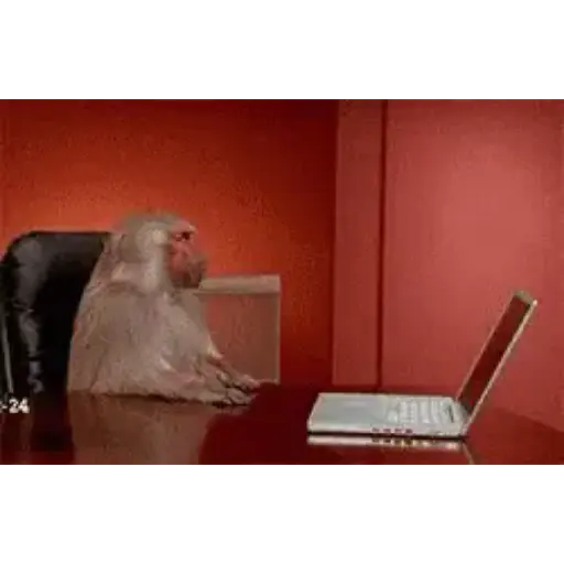 Baboon