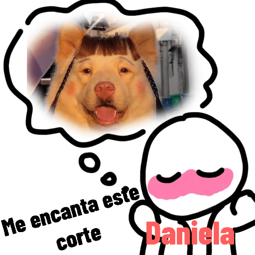 Stikers 11
