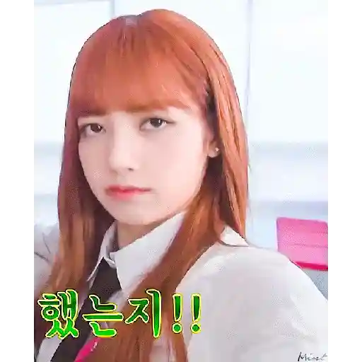 LALISA 19