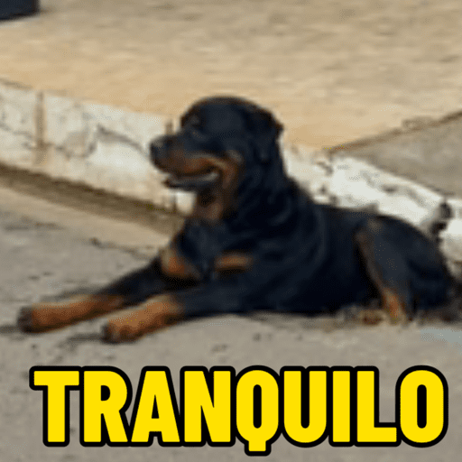 Escola  5