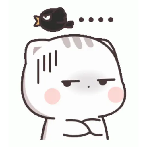 Funny Cat 7