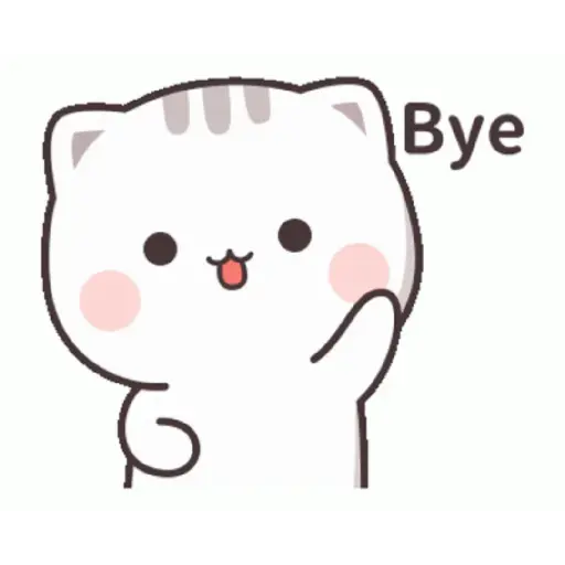 Funny Cat 2
