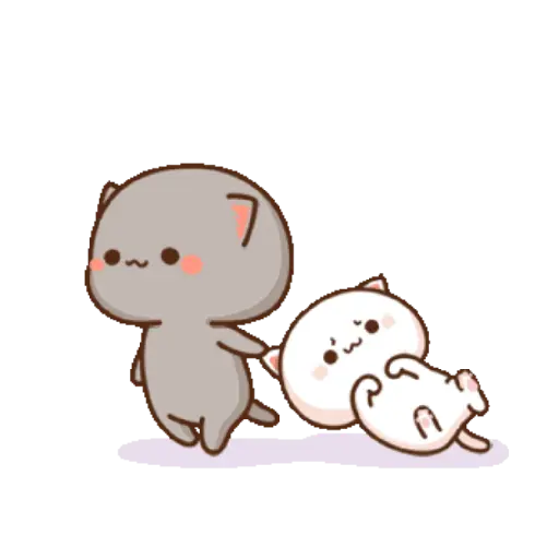 Funny Cat 20