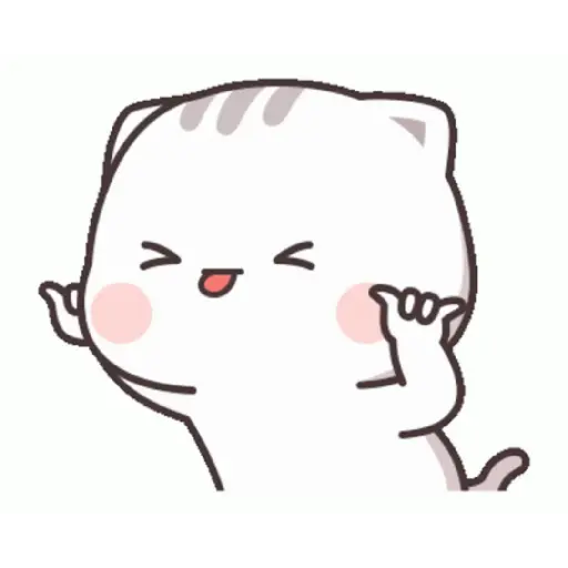 Funny Cat 14