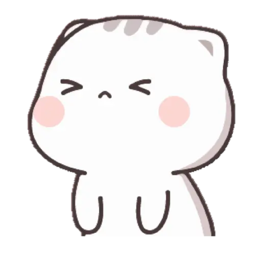 Funny Cat 9