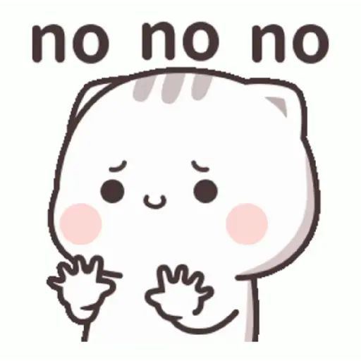 Funny Cat 13