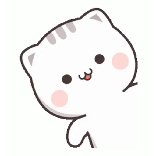 Funny Cat 5