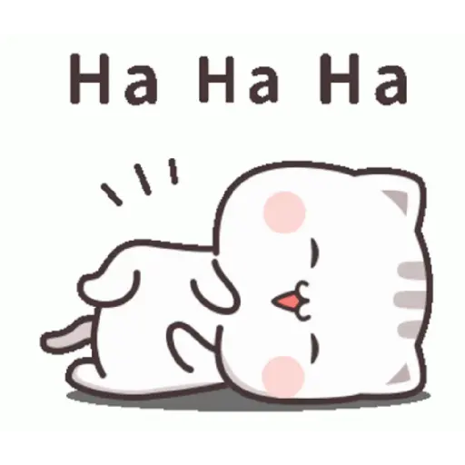 Funny Cat 3