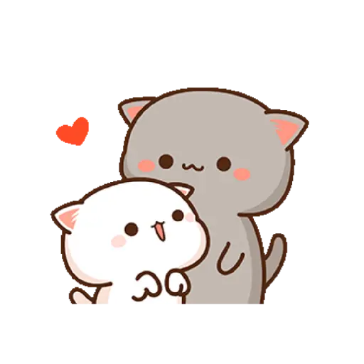 Funny Cat 22