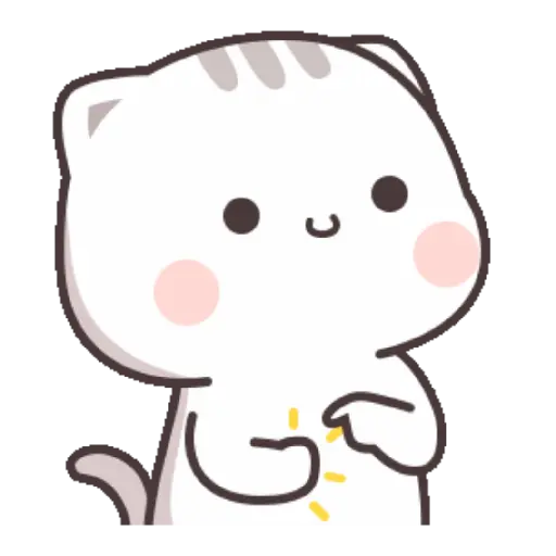 Funny Cat 11