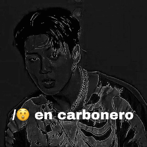 㕓꯭ †   Carboneros. ⸻̸ BTS 12