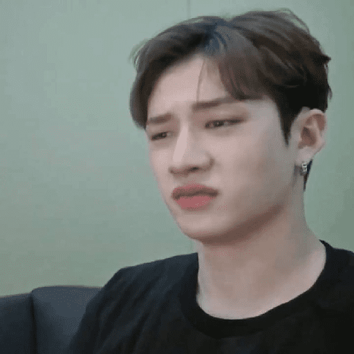 㕓꯭ †   Bangchan ⸻̸ SKZ 10