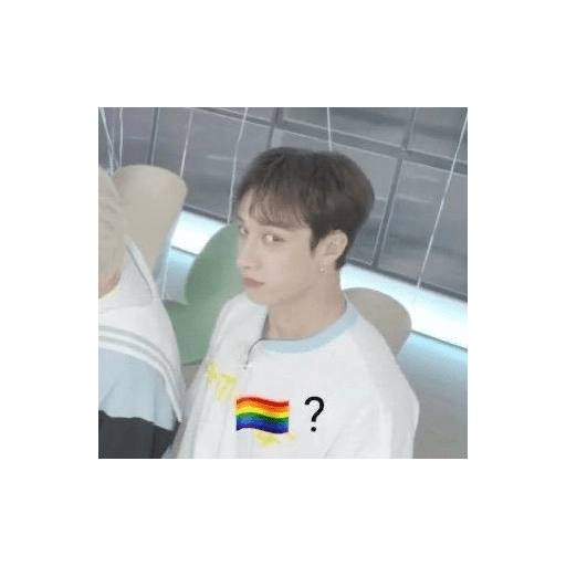 㕓꯭ †   Bangchan ⸻̸ SKZ 11