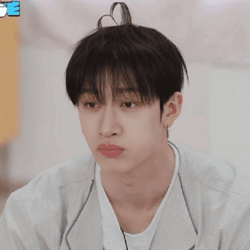 㕓꯭ †   Bangchan ⸻̸ SKZ 13