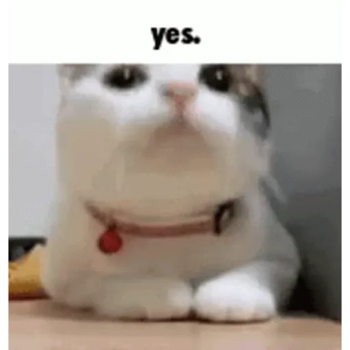 My stickers 7