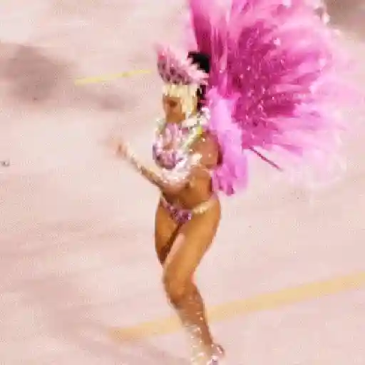 🎊 Carnaval 🪭🎊