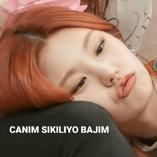 K-POP 23