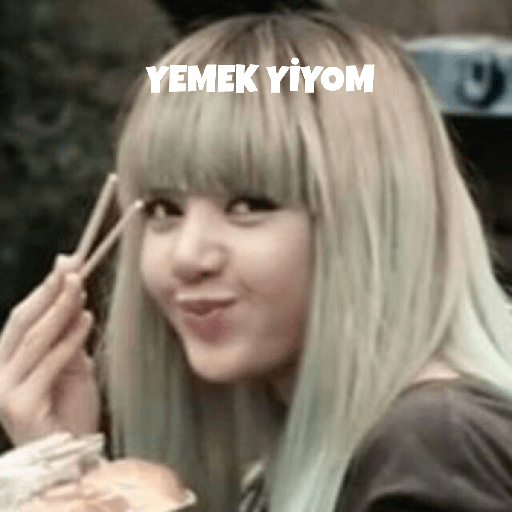 Blackpink türkçe 17