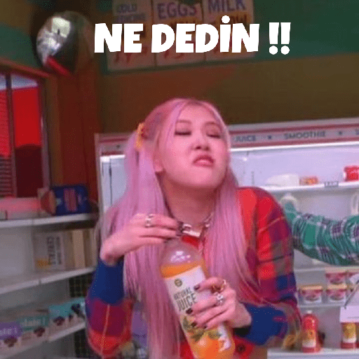 Blackpink türkçe 29