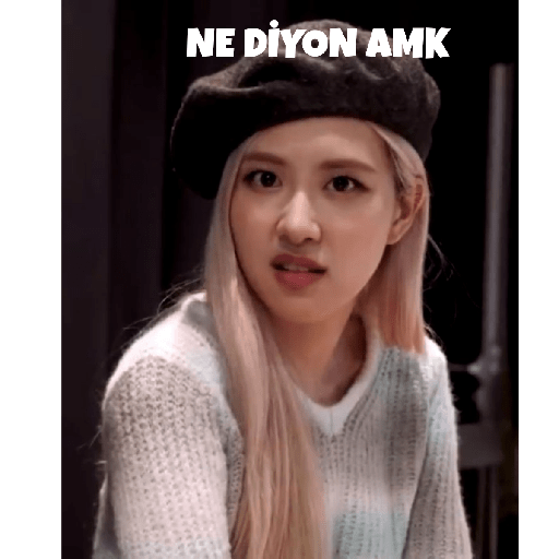 Blackpink türkçe 24